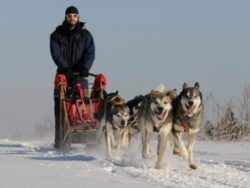 Huskyausfahrt