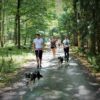 Huskywandern - Husky-Trekking – Bild 3