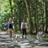 Huskywandern - Husky-Trekking – Bild 4