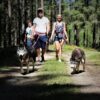 Huskywandern - Husky-Trekking – Bild 5