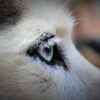 Huskywandern - Husky-Trekking – Bild 7